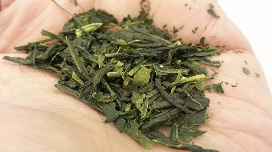 Sencha 煎茶